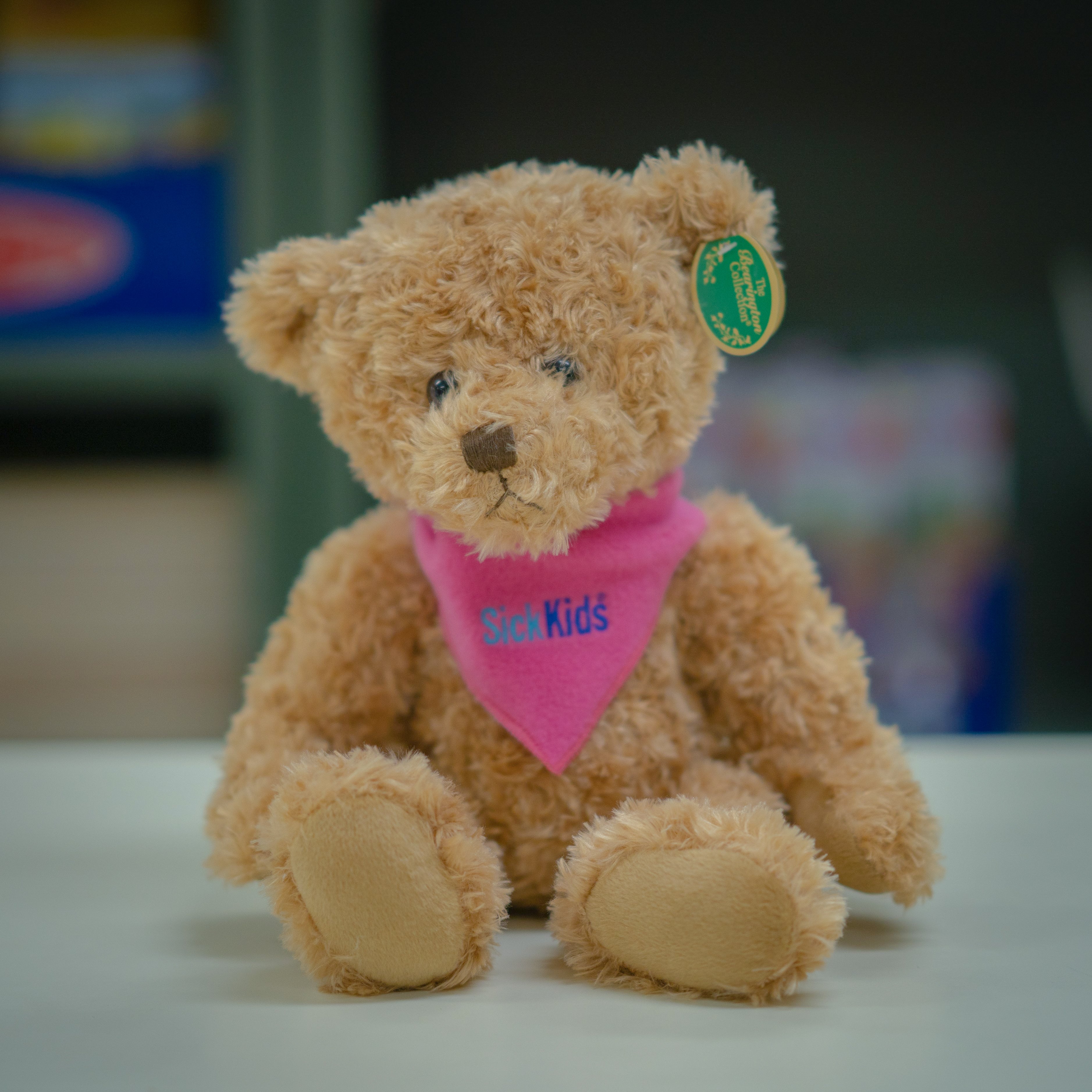 SickKids Teddy Bear (Theodore/15