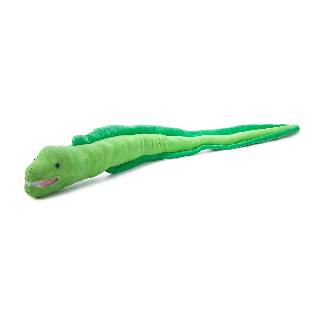 The Petting Zoo<br> Wild Onez<br> Moray Eel (54")