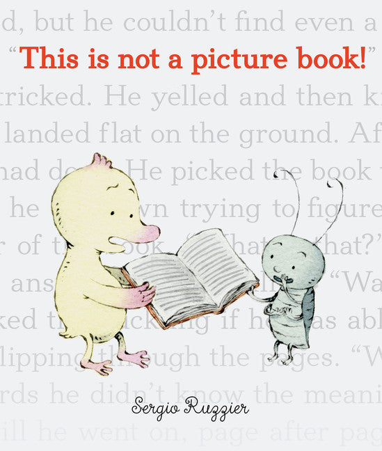 This is Not a Picture Book!