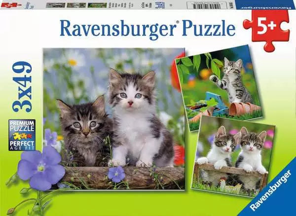 Jigsaw Puzzle<br> 49 Pieces (x3)<br> Cuddly Kittens