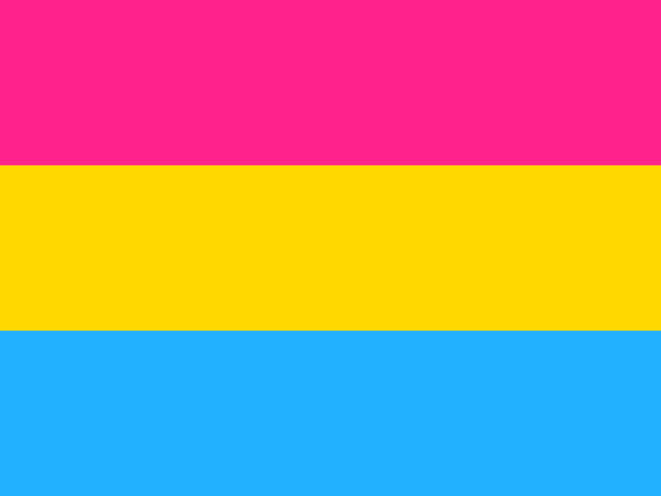 Medium Pansexual Flag (12"x18")
