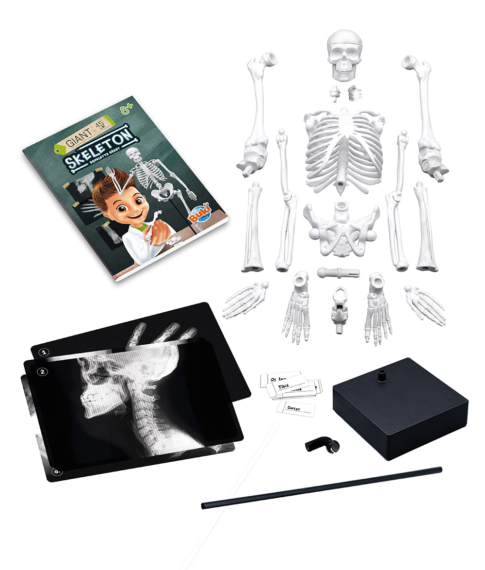 Buki<br> Giant Skeleton Kit (45cm)