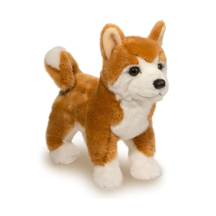 Douglas<br> Shiba Inu<br> Dunham (16")