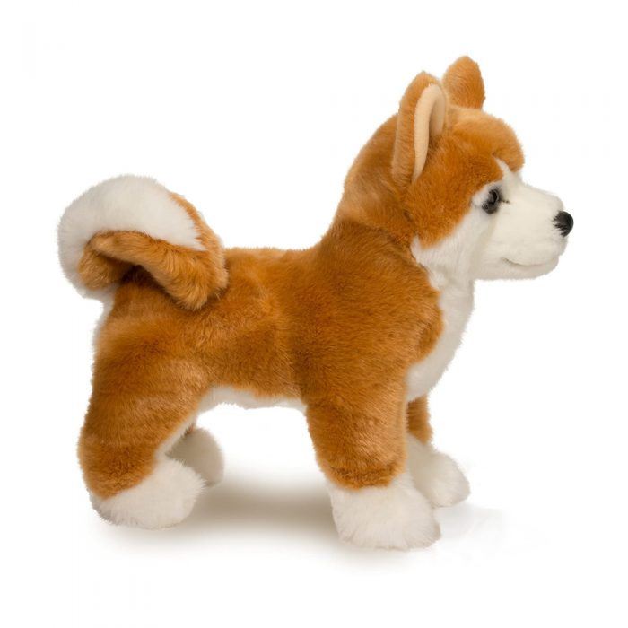 Douglas<br> Shiba Inu<br> Dunham (16")