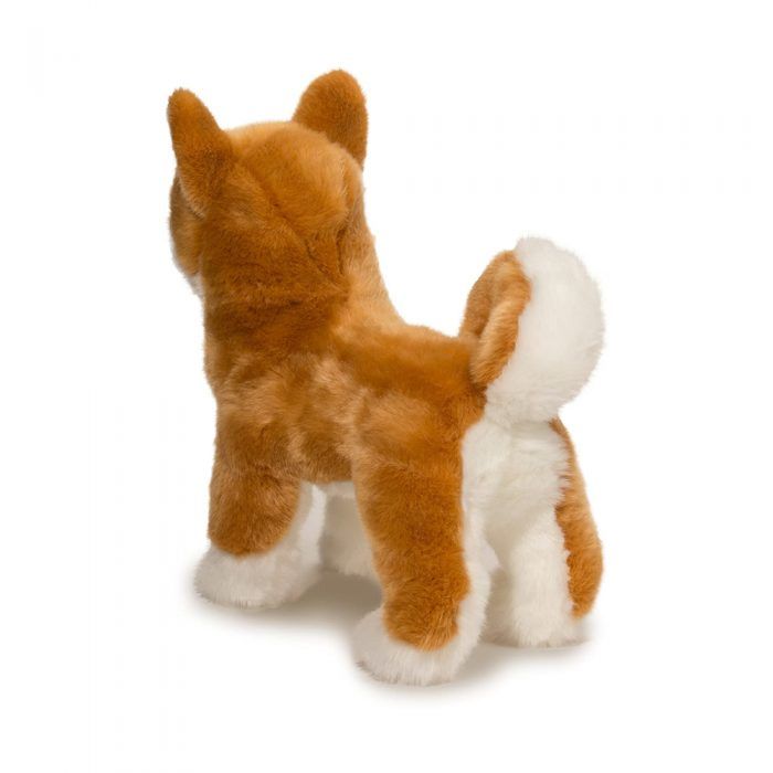 Douglas<br> Shiba Inu<br> Dunham (16")