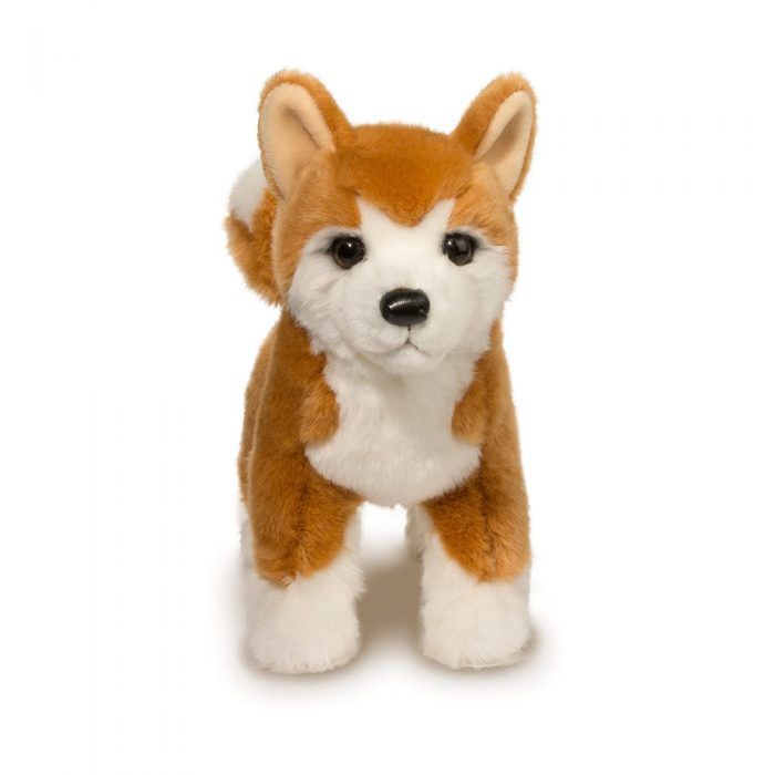 Douglas<br> Shiba Inu<br> Dunham (16")
