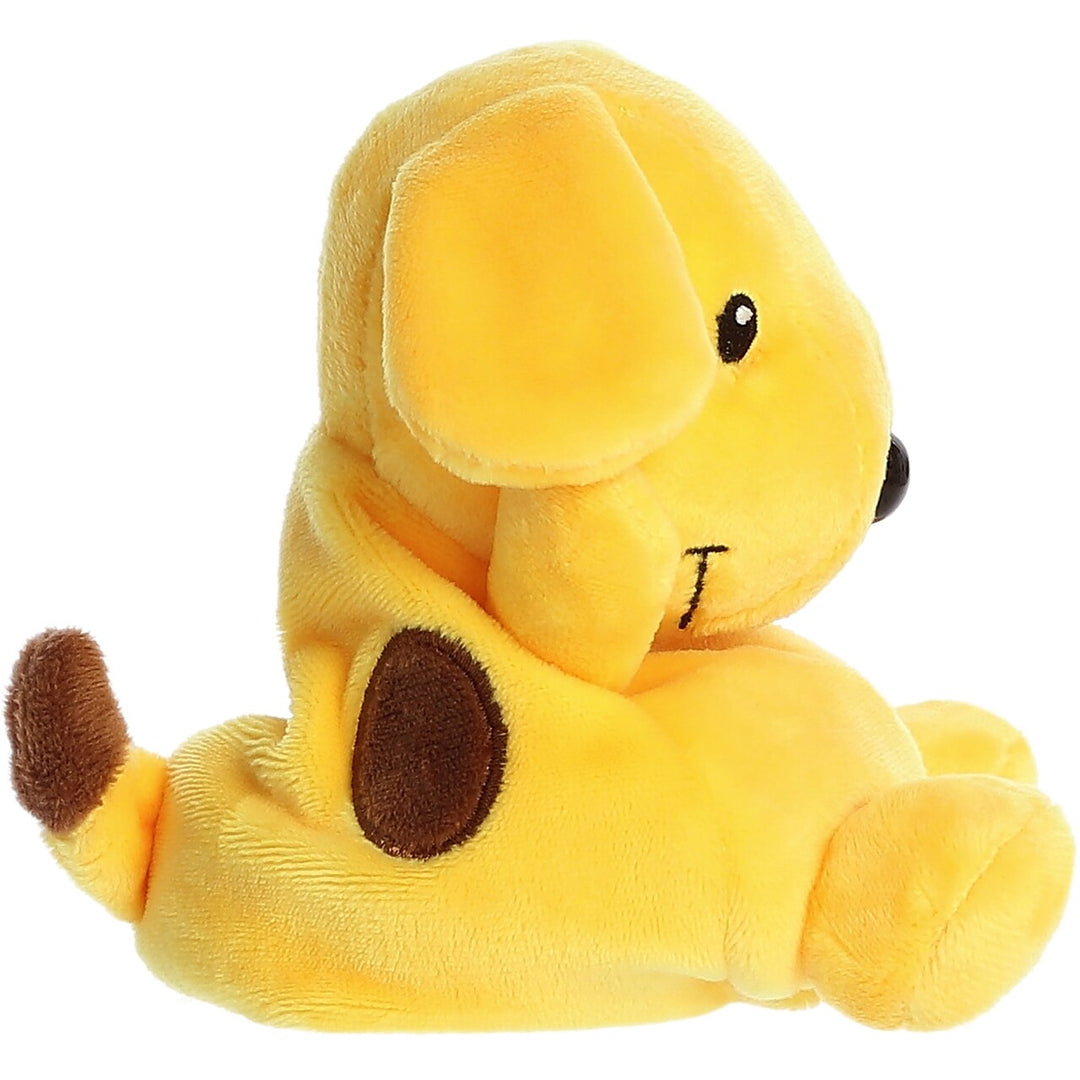 Aurora<br>Palm Pals<br> Spot (5")