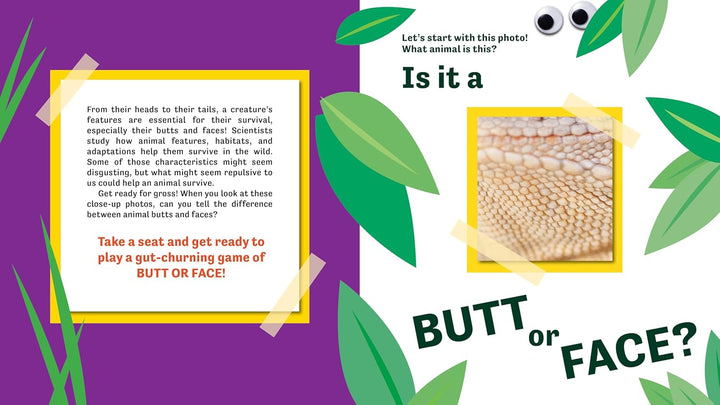 Butt or Face?<br> Super Gross Butts