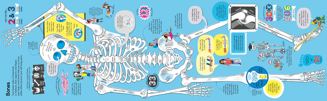 Usborne<br> Big Book of the Body