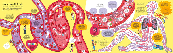 Usborne<br> Big Book of the Body