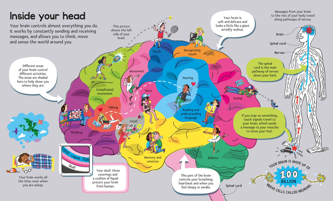 Usborne<br> Big Book of the Body