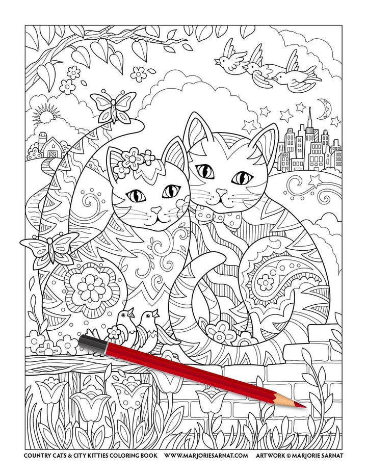 Country &amp; City Kitties