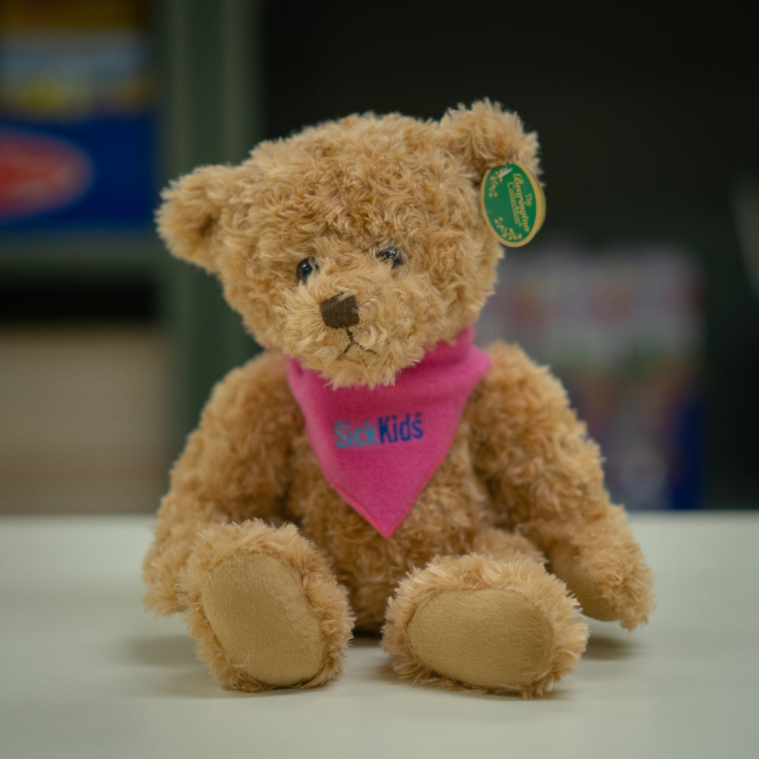Teddy Bear (15")<br> SickKids<br> Theodore