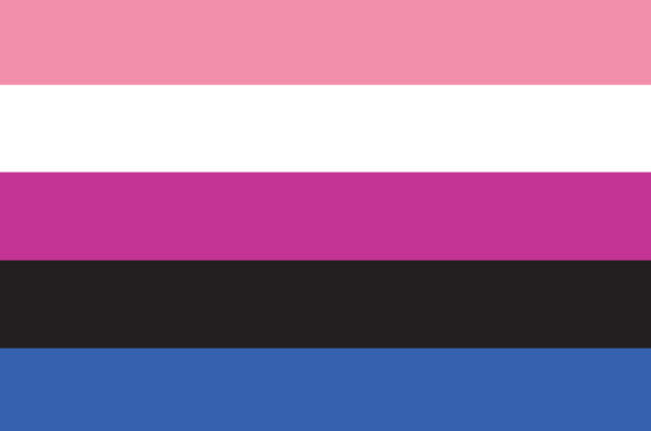 Medium Gender Fluid Flag (12"x18")
