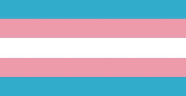 Medium Transgender Flag (12"x18")