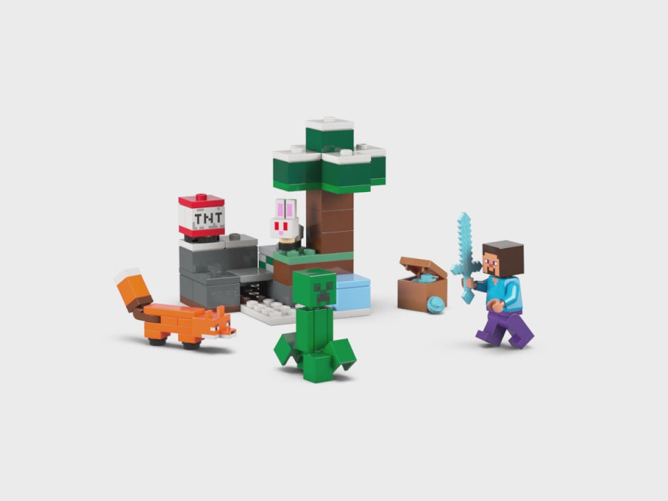 LEGO Minecraft<br> Steve&