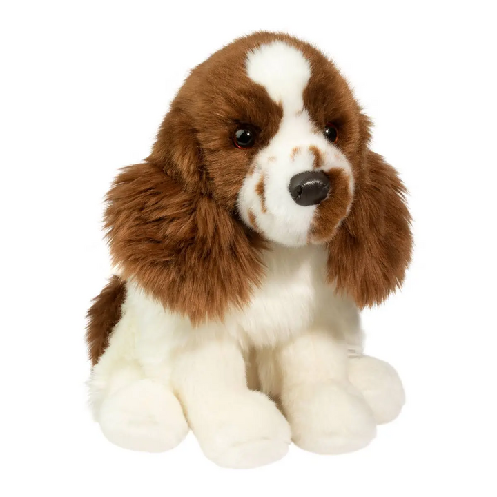 Chip 11" - Springer Spaniel - Douglas